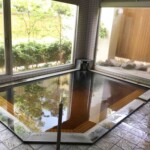 大きな特徴は2種の泉質(内湯が純重曹泉・露天風呂が重曹硫黄泉)が楽しめるところ。ここだけの源泉なので、贅沢に新鮮なお湯を提供している。源泉かけ流し、高温のため加水あり。