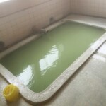 緑色の濃厚な温泉、隣接する東多賀は白色で隣同士なのに全く違う色の温泉なのは鳴子ならでは。pH値が中性に近いため刺激が少なく、肌にやさしいお湯。源泉かけ流し、加温加水なし。
