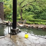 中山平に位置している。自家源泉は98℃と高温なため、天然林から引水した清水を利用した「こだわりの加水」で適温に調整している。四季彩の自然を眺められる露天風呂が魅力。温度調整のため循環、高温のため加水あり。