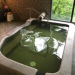 中山平温泉にあり、うなぎの湯と称されたトロトロしたお湯が楽しめる。多種多様な浴室があり、一番広い露天風呂は混浴である。源泉かけ流し、加温加水なし。